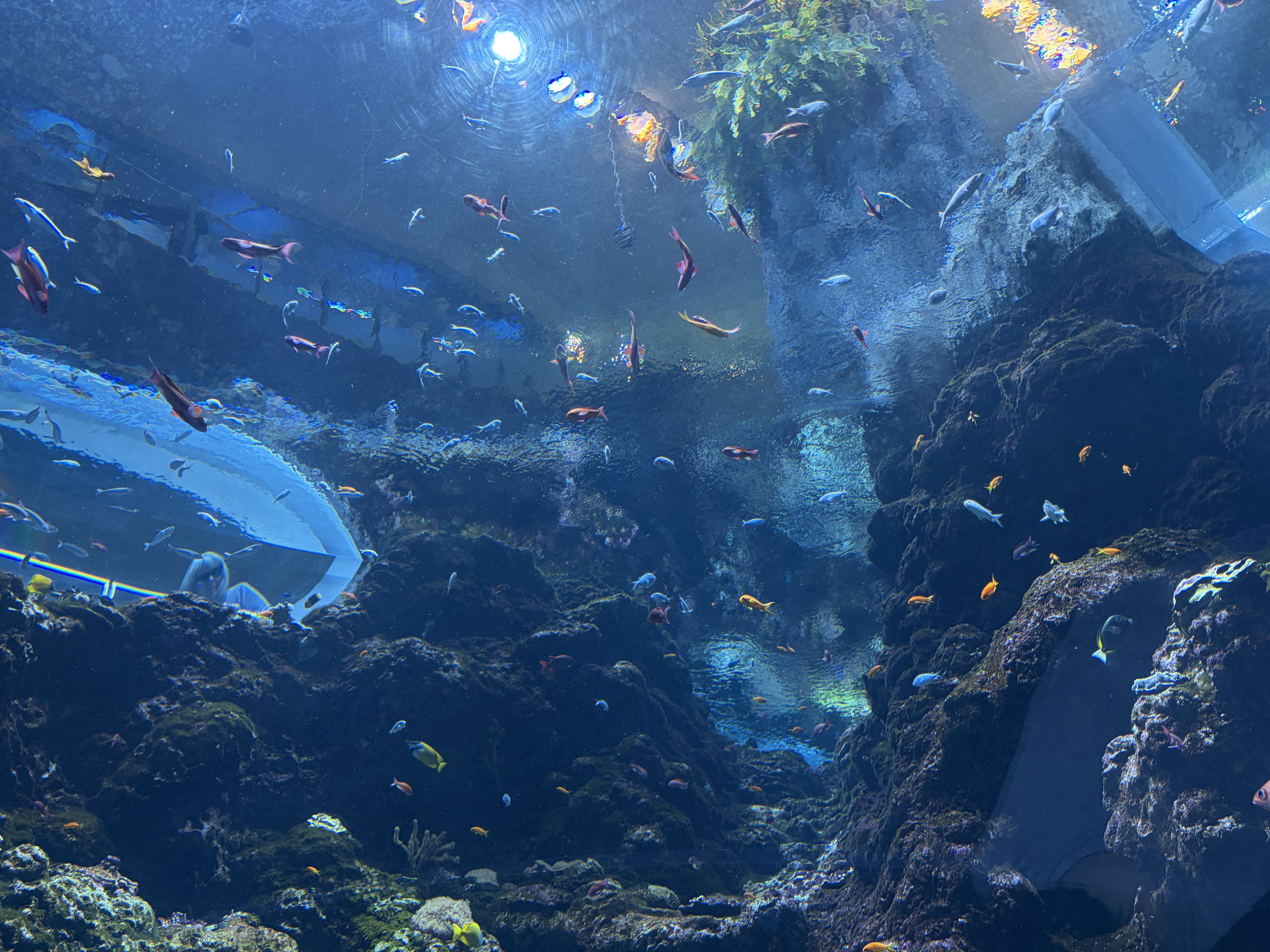 Seattle Aquarium