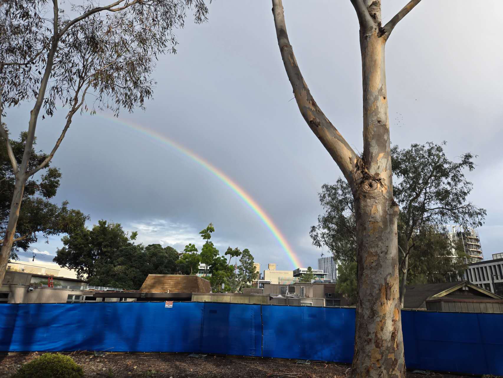 Rainbow at UCSD